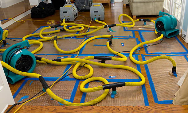 Professional Water Damage Repair technician working in North Dighton, MA
